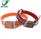 3M Reflective Strap Fluorescent TPU Dog Collars PVC Dog Leash