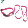 Friendly Cleanable Pvc Webbing Dog Collar Luminous
