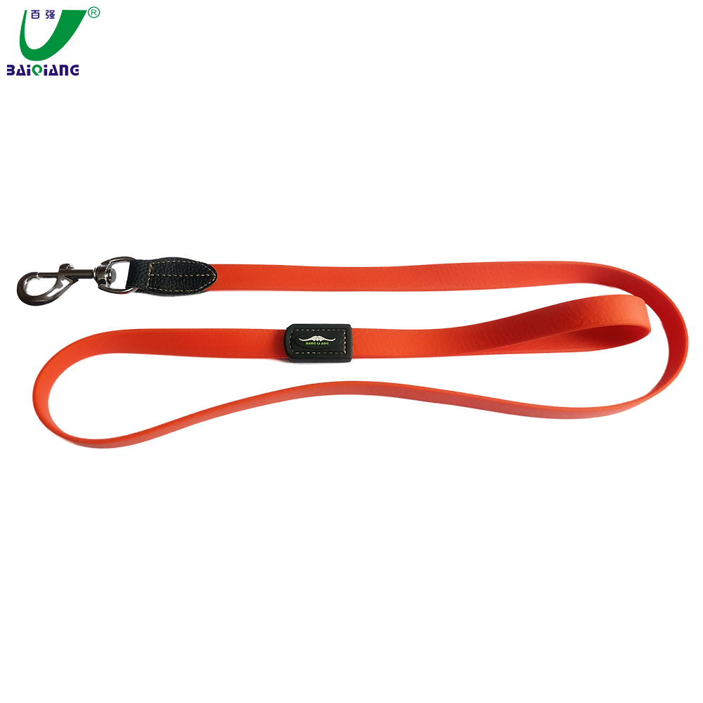 Custom Logo Ladies Dog Collar Plastic Coated Dog Collar and Leash Set